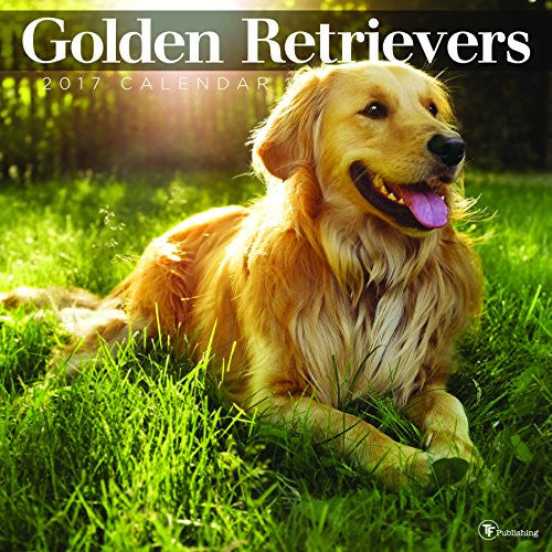 2017 Golden Retrievers Wall Calendar