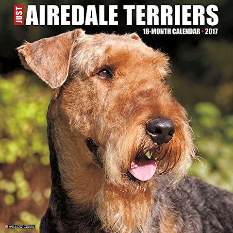 2017 Wall Calendars, Dog Breeds - Just Airedale Terriers