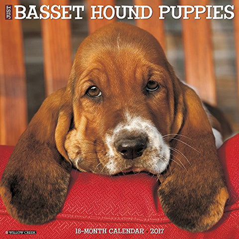 2017 Wall Calendars, Dog Breeds - Just Basset Hound Puppies