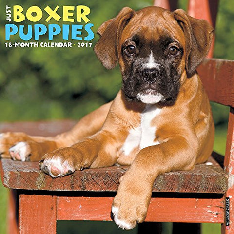 2017 Wall Calendars, Dog Breeds - Just Boxer Puppies