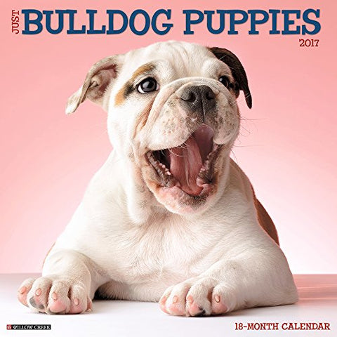 2017 Wall Calendars, Dog Breeds - Just Bulldog Puppies
