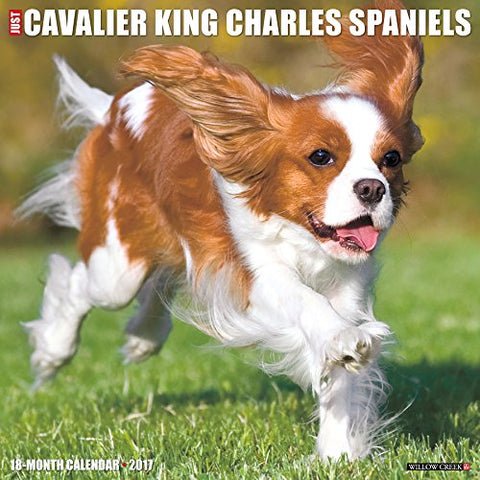 2017 Wall Calendars, Dog Breeds - Just Cavalier King Charles Spaniels