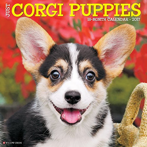 2017 Wall Calendars, Dog Breeds - Just Corgi Puppies