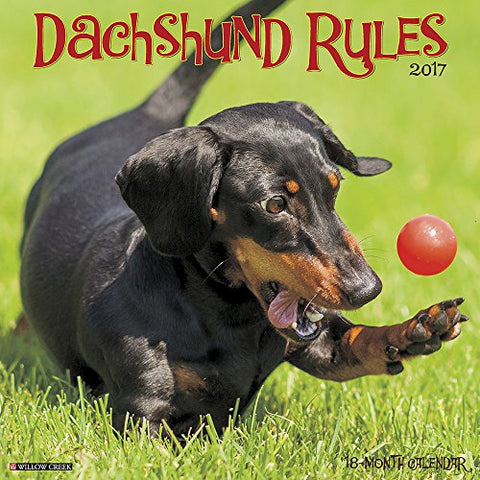 2017 Wall Calendars, Dog Breeds - Dachshund Rules