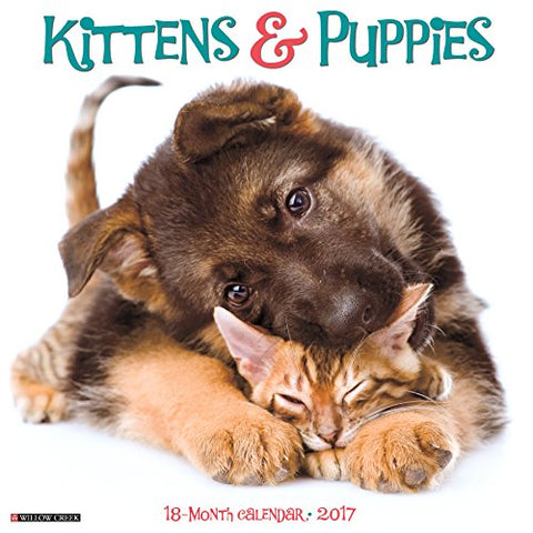 2017 Wall Calendars, Cats - Kittens & Puppies