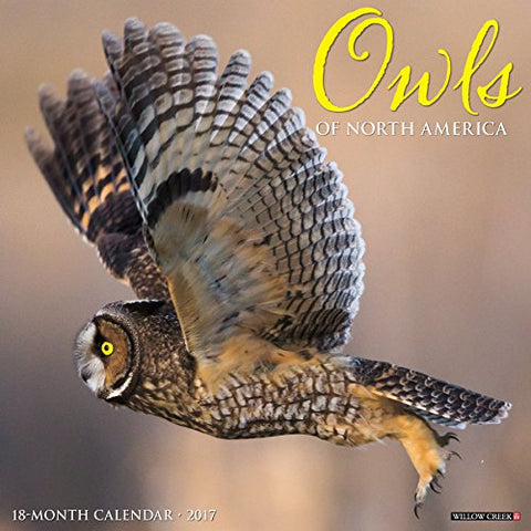 2017 Wall Calendars, Wildlife - Owls