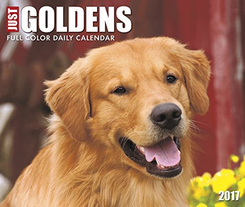 2017 Daily Box Calendars - Just Goldens