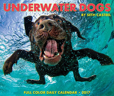 2017 Daily Box Calendars - Underwater Dogs