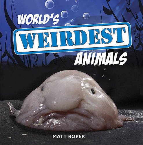 World’s Weirdest Animals (Hardcover)