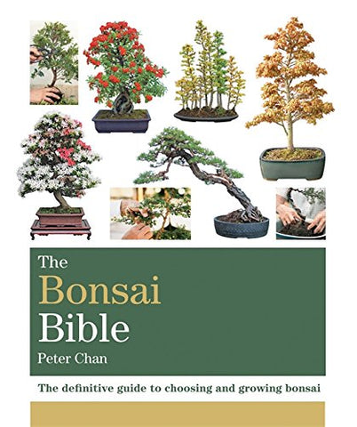 The Bonsai Bible, The definitive guide to choosing and growing bonsai, By Peter Chan, Trade Paperback