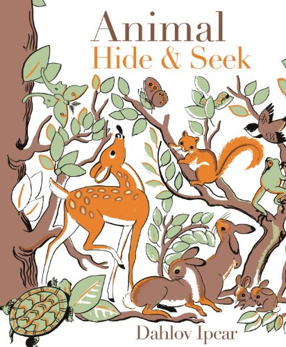 Animal Hide & Seek (Hardcover)