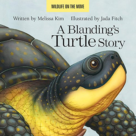 A Blanding's Turtle Story (Board book)