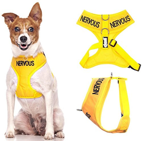 Friendly Dog Collars- Nervous Small Vest Harness