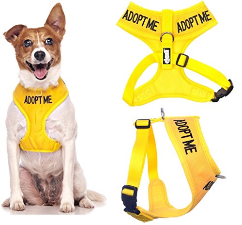 Friendly Dog Collars- Adopt Me Small Vest Harness