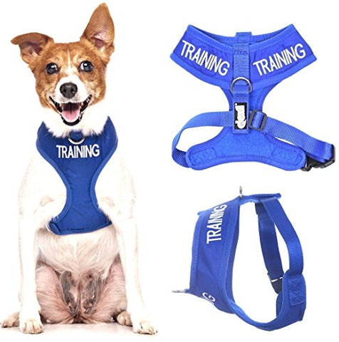 Friendly Dog Collars- Training Small Vest Harness