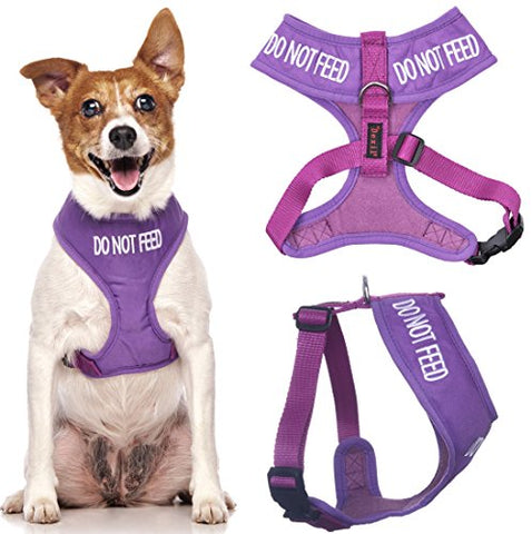 Friendly Dog Collars- Do Not Feed Small Vest Harness