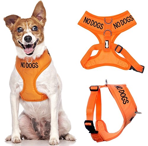 Friendly Dog Collars- No Dogs Small Vest Harness