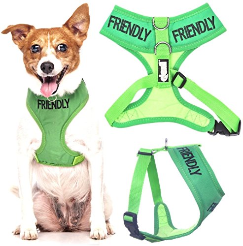 Friendly Dog Collars- Friendly Small Vest Harness