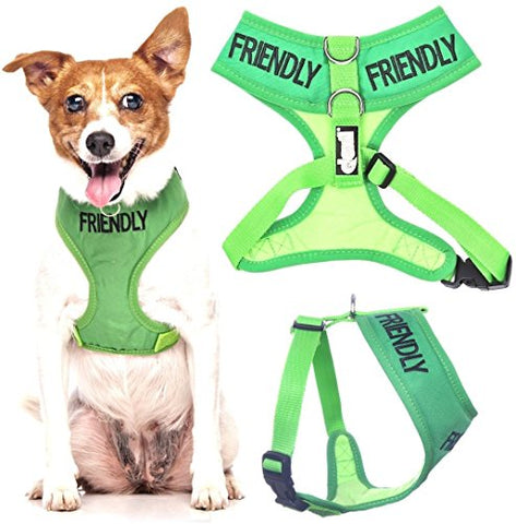 Friendly Dog Collars- Friendly Small Vest Harness