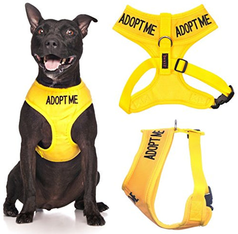 Friendly Dog Collars- Adopt Me Medium Vest Harness