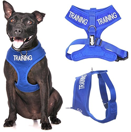 Friendly Dog Collars- Training Medium Vest Harness
