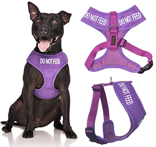 Friendly Dog Collars- Do Not Feed Medium Vest Harness