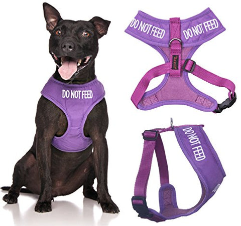 Friendly Dog Collars- Do Not Feed Medium Vest Harness