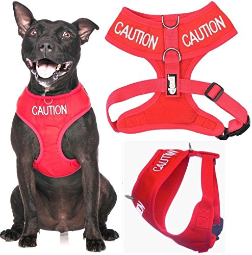 Friendly Dog Collars- Caution Medium Vest Harness