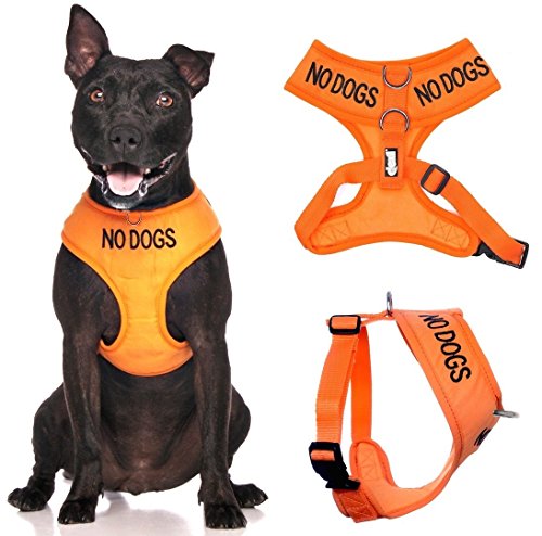 Friendly Dog Collars- No Dogs Medium Vest Harness