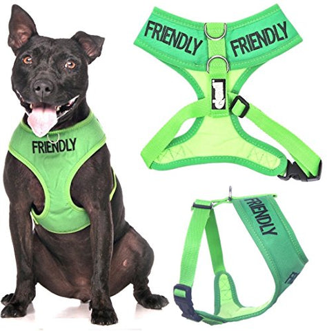 Friendly Dog Collars- Friendly Medium Vest Harness