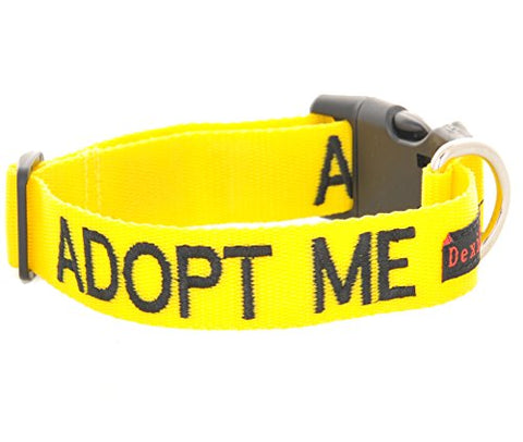 Friendly Dog Collars- Adopt Me Small-Medium Snap Collar
