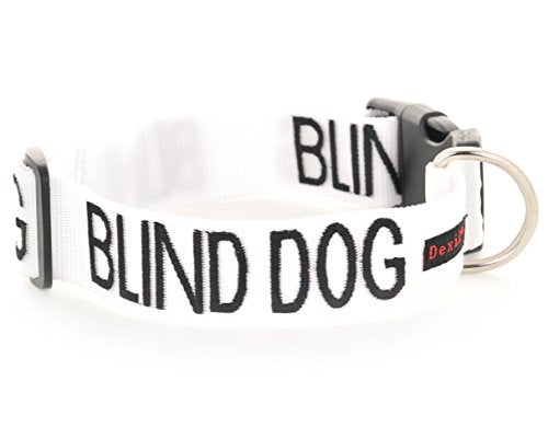 Friendly Dog Collars- Blind Dog Small-Medium Snap Collar
