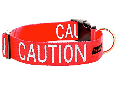 Friendly Dog Collars- Caution Large Snap Collar