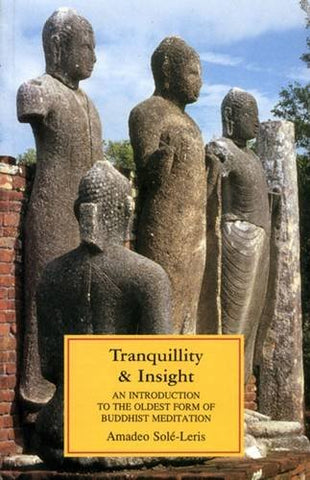 Tranquillity and Insight : An Introduction to the Oldest Form of Buddhist Meditation