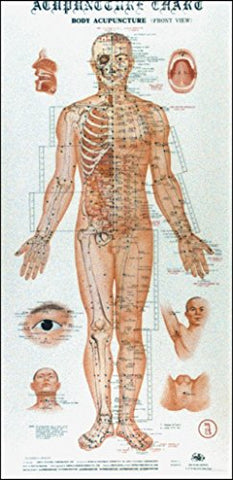 Acupuncture Charts, Book Form (Paperback)