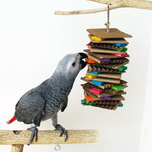 Graham's Parrot Toys Fiesta Medium