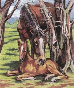 Color By Number Kit 9"X12" - Horse & Foal