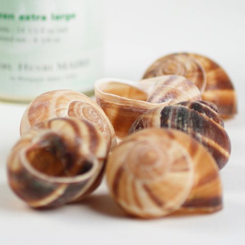 Escargot Shells (6 pcs)