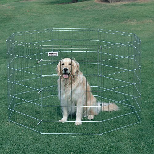 Precision Ex-Pen Silver with Snaps 30-inch