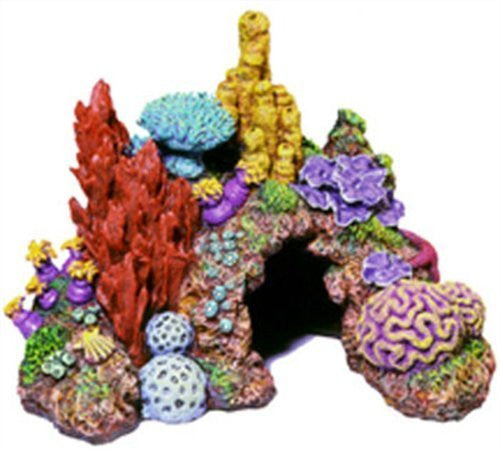 Caribbean Living Reef - Large 12.0 x 8.5 x 9.0