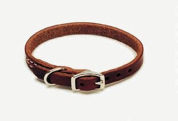 COASTAL Latigo Town Collar - 1/2 x 16