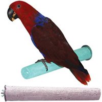Small / 6" Perch for Parakeets & Small Birds