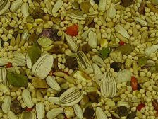 Volkman Seed Avain Science Super Cockatiel With Sunflower 2lb