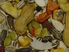 Volkman Avian Science Super Parrot 20lb