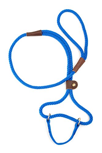 Mendota Dog Walker 3/8" x 4' - Blue