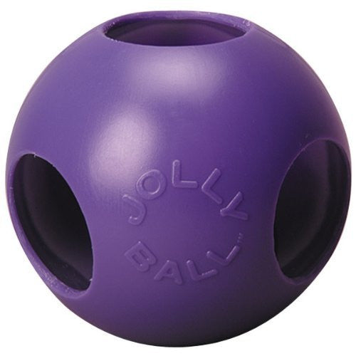 Teaser Ball - Assorted, 8-Inch