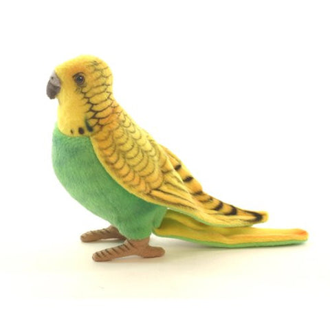 PARAKEET BUDGIE YEL/GRN 6''