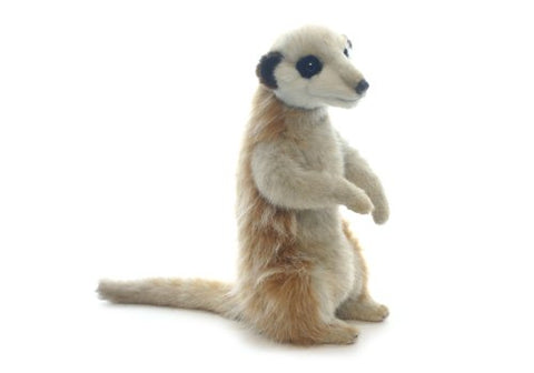 MEERKAT YOUTH UP 9''