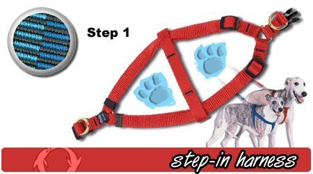 Step-In Harness, 3/4 x 18-28" - Step 1 Blue, Medium