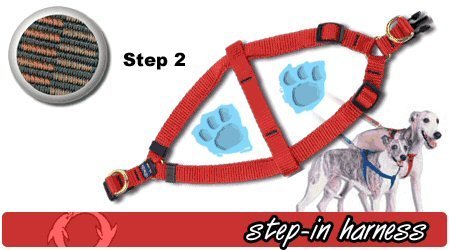 Step-In Harness, 3/4 x 18-28" - Step 2 Brown, Medium